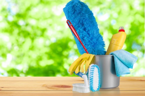 Cleaner maintaining a Finchley home during a regular cleaning visit