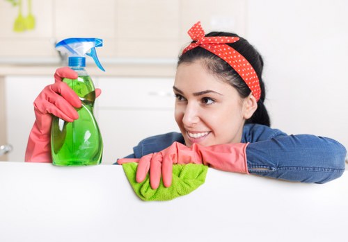 Deep cleaning a living room in a Finchley flat