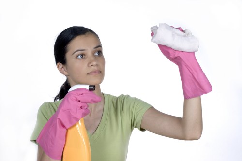 Spot cleaning a sofa and carpet in a North London property